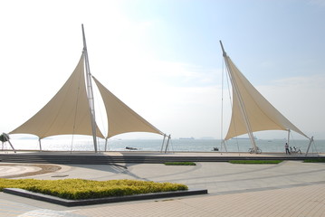 父亲六个手指会遗传给孩子么