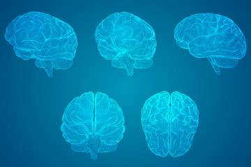 赵一曼的事迹简洁语言