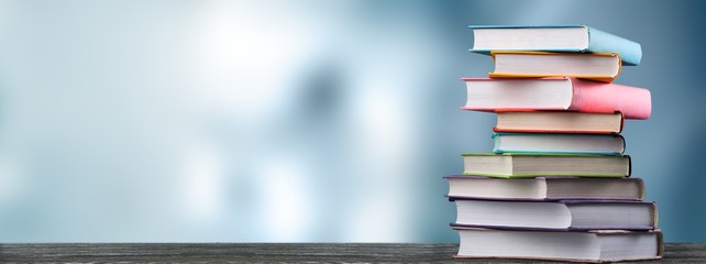 赵一曼的事迹简洁语言