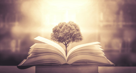 职场对外接待礼仪与注意事项有哪些