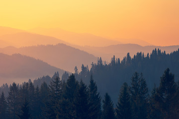 永川野生动物园一日游攻略