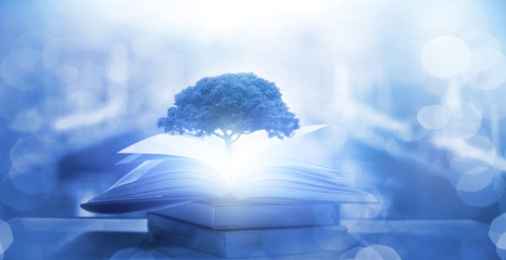 永川野生动物园一日游攻略