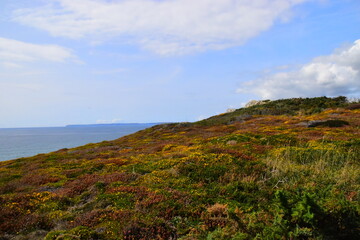 20几岁要懂得的社会常识