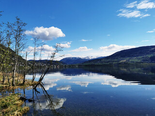 有没专门帮人贷款的人