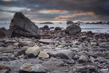 幼儿园大班中秋的活动方案