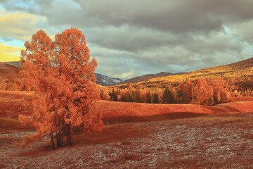 20几岁要懂得的社会常识