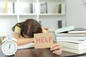 赵一曼的事迹简洁语言