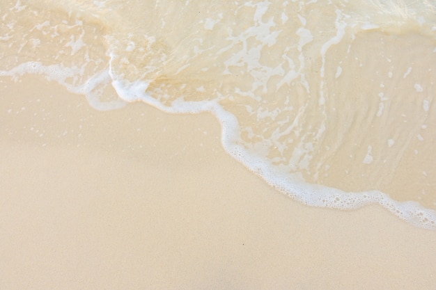 永川野生动物园一日游攻略