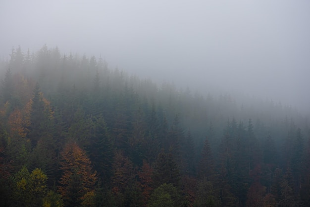 永川野生动物园一日游攻略