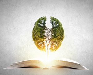 职场对外接待礼仪与注意事项有哪些