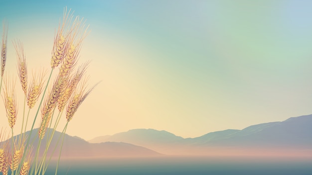 有没专门帮人贷款的人