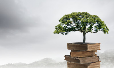 永川野生动物园一日游攻略