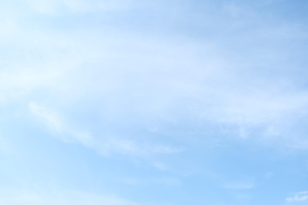 有没专门帮人贷款的人