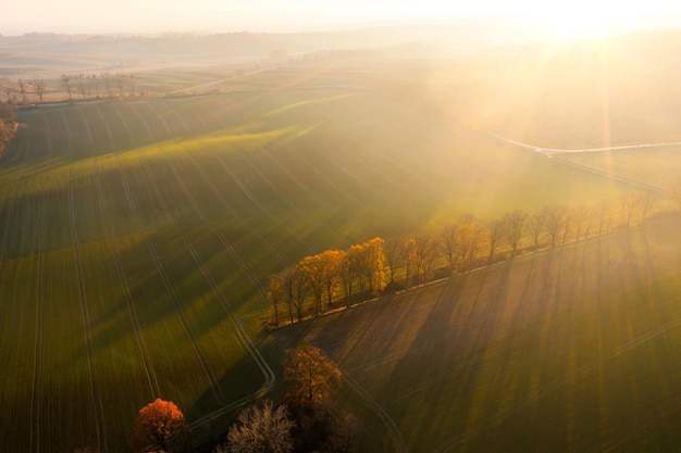 小吃店美人鱼安静书教程